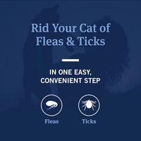 Flea & Tick Shampoo for Dogs & Cats — Gentle Flea Treatment Wash