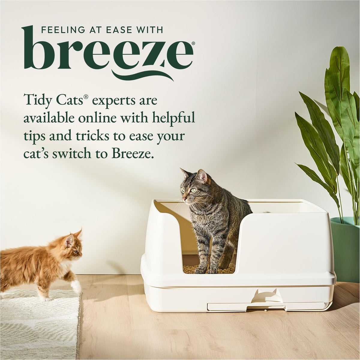Breeze Litter Box System Kit with Pellet Cat Litter, XL Litter Box and Litter Box Pads
