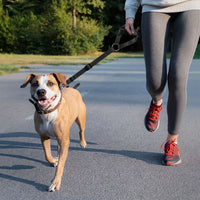 2-in-1 Pet Safety Belt & Leash