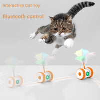 Remote Control Cat Toy — Interactive Mouse Toy for Indoor Cats