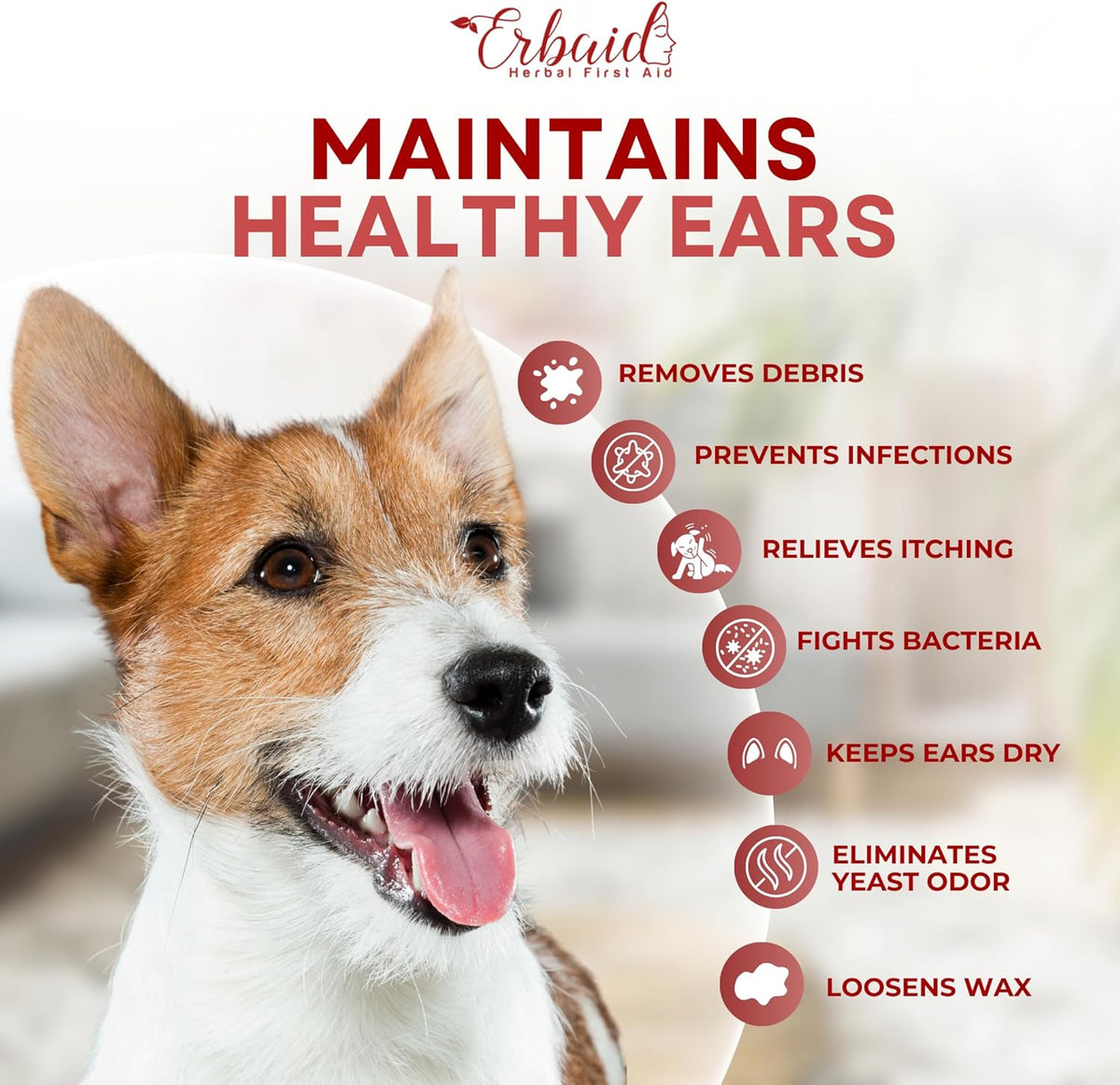 Dog Ear Cleaner – All Natural Ear Drops for Dogs Ear Infection – Eliminates Yeast Odor, Loosens Wax, Prevents Infections, Relieves Itching – Safe, Gentle, Effective Itchy Ear Relief, Made in USA
