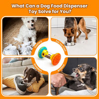 Slow-Feed Puzzle Toy for Dogs