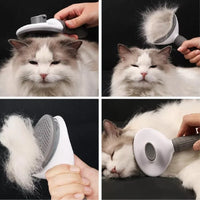 Dual-Sided Deshedding Brush Set