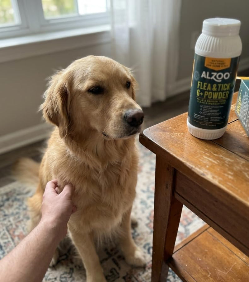 Flea and Tick G + Powder, Helps Eliminate & Repels Ticks, Fleas & Mosquitos, for in and around Home Use, 100% Plant-Based Active Ingredients, 8 Oz.