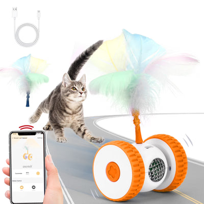 Remote Control Cat Toy — Interactive Mouse Toy for Indoor Cats