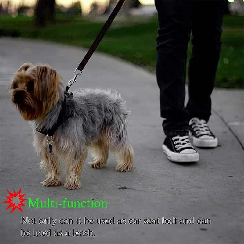 2-In-1 Dog Car Seat Belt & Leash — Pet Safety Belt