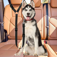 2-in-1 Pet Safety Belt & Leash