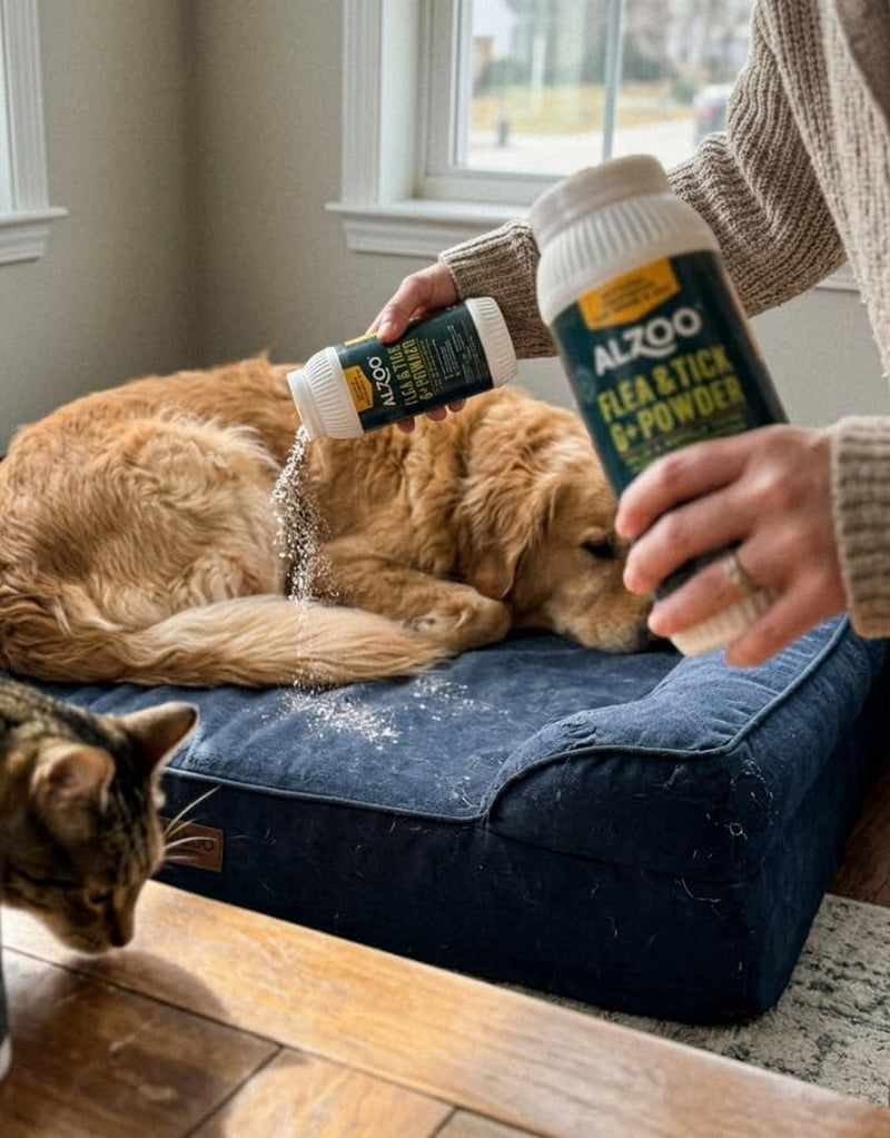 Flea and Tick G + Powder, Helps Eliminate & Repels Ticks, Fleas & Mosquitos, for in and around Home Use, 100% Plant-Based Active Ingredients, 8 Oz.