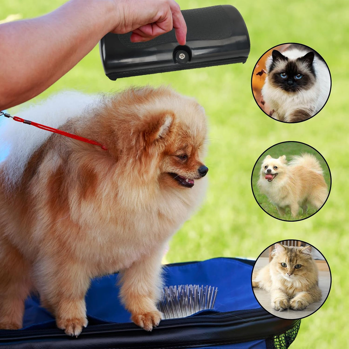 2 PCS Deshedding Dog Brush, Cat Deshedding Brush, Practical Cat Groomer, Suitable for Tangled Hair and Loose Hair, Ergonomic